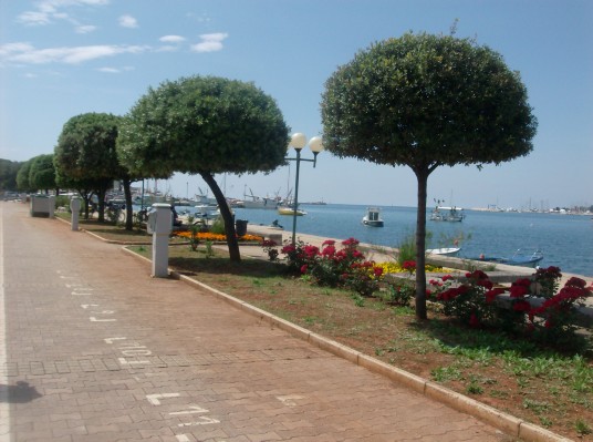pic_kroatien_10 (27).JPG